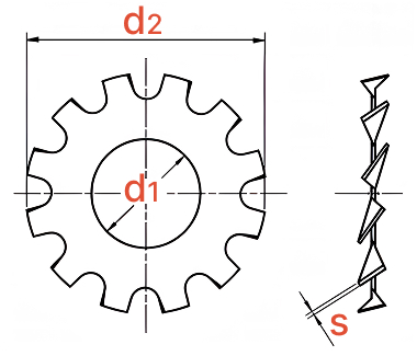 Шайба c нар. зубьями DIN 6797A.jpg